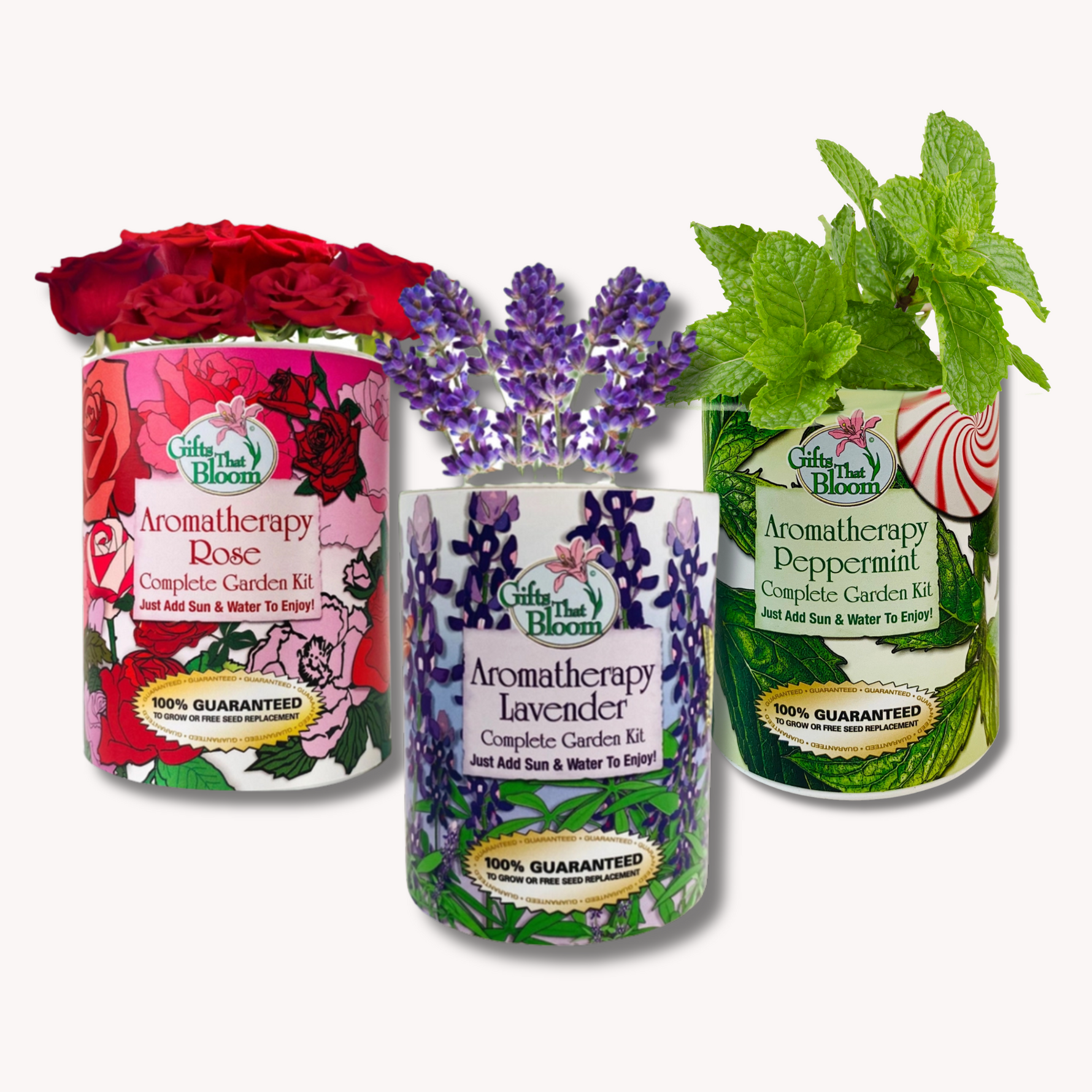 Aromatherapy Pre-Pack Garden Kit
